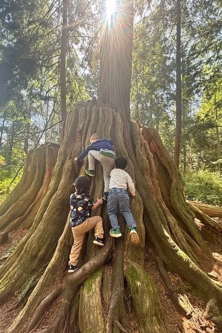 Reggio Emilia vs. The BC Framework: Why We Choose the West Coast Way